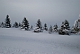 slides/Snowy_Evergreens.jpg Nikon snow winter Snowy_Evergreens